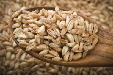 yazıldığından tahıl