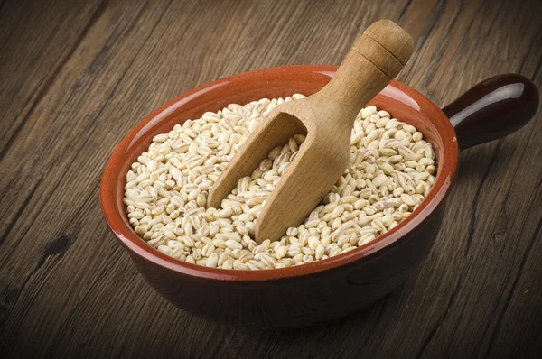 Pearl barley — Stock Photo, Image