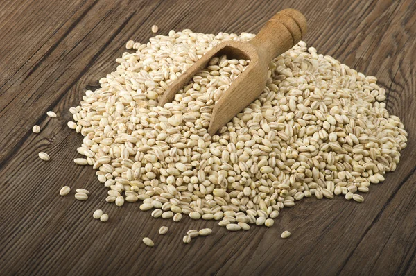 Pearl barley — Stock Photo, Image