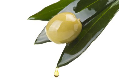 zeytin