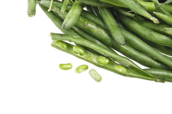 Haricots verts — Photo