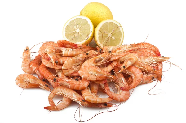 Fresh raw shrimp — Stock Photo, Image