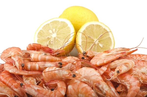 Čerstvé syrové krevety — Stock fotografie