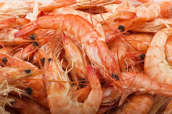 Fresh raw shrimp — Stock Photo, Image