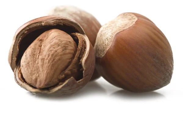 Hazelnuts on the white — Stock Photo, Image