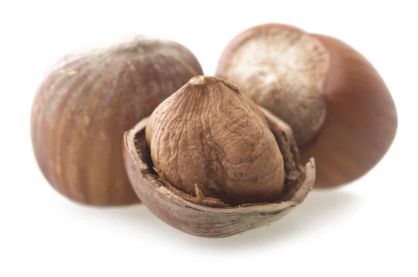 Hazelnuts on the white — Stock Photo, Image