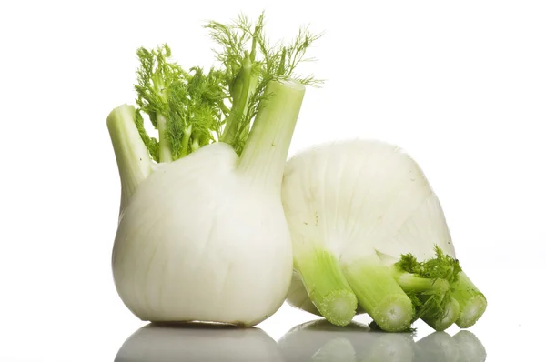 Two fresh fennel — Stock Photo, Image