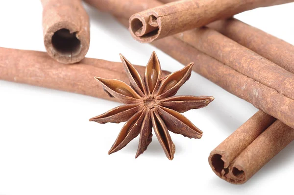 Cinnamon stick spice — Stock Photo, Image