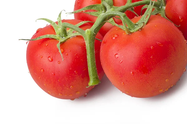 Tomates frescos de perto — Fotografia de Stock