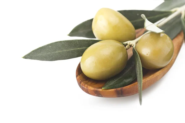 Azeitonas verdes e ramos de oliveira — Fotografia de Stock