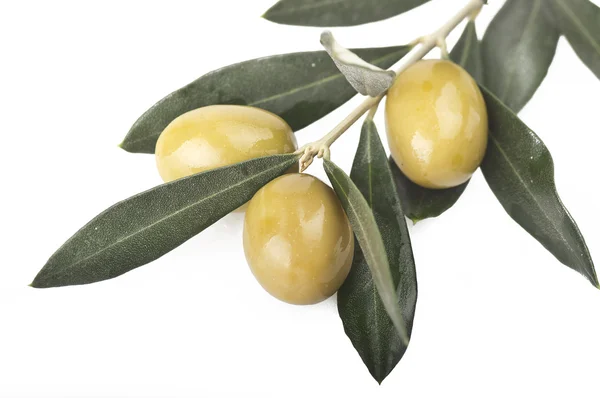 Зелені оливки та оливкові гілки — стокове фото