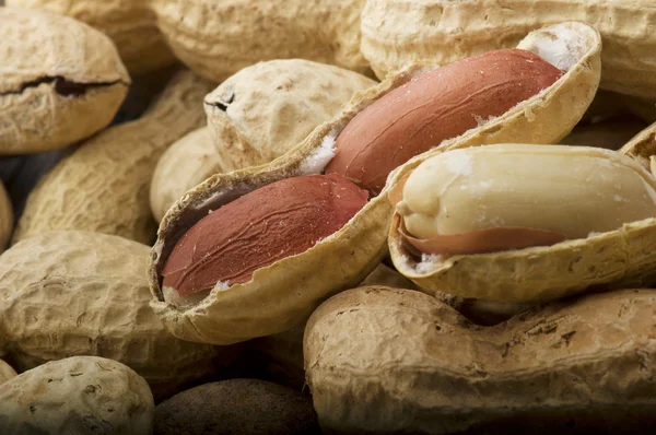Peanuts in shells — Stock Photo, Image