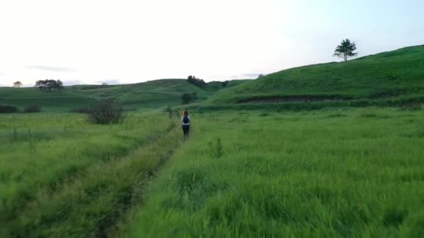 若い女の子の上からの眺めは夏の日没時に渓谷の近くの畑を歩く — ストック動画