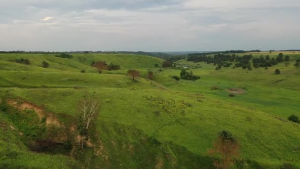 Blick Von Oben Auf Die Grüne Schlucht Und Felder Sommer — Stockvideo