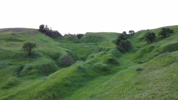 夏は緑の峡谷や畑の上から夕日を眺め — ストック動画