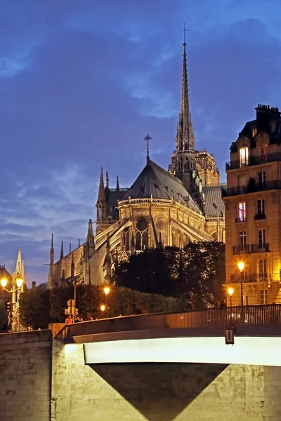 Notre Dame de Paris oświetlony — Zdjęcie stockowe