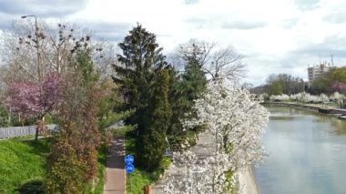 Bahar günü kıyısında Bega nehir, Timisoara, Romanya 5