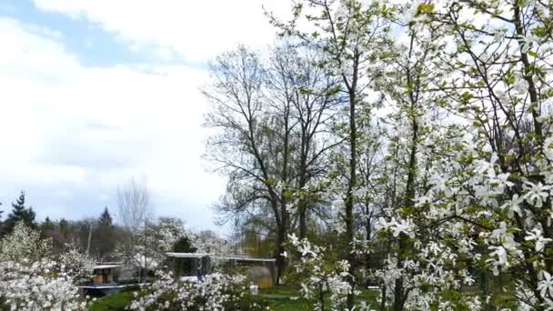 Vårdag på stranden Bega river, Timisoara, Rumänien 1 — Stockvideo