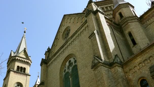 Detalle de la Catedral Millenium de Timisoara, Rumania 1 — Vídeo de stock