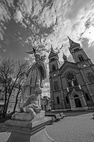 Siyah beyaz görünümü katedral Millenium Timisoara, Roma — Stok fotoğraf