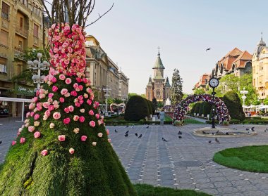 Zafer Meydanı'ndan tarihi binaların panoramik manzarası - Timis
