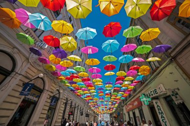 Timisoara renkli şemsiyeli sokak, Romanya 1