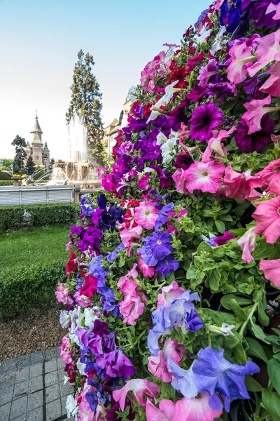 Blumenschmuck auf dem Siegesplatz, mit orthodoxer Kathedrale — Stockfoto