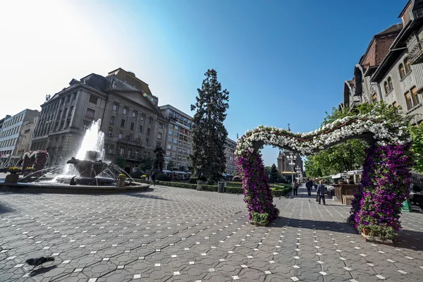 Arrangements floraux et fontaine place de la Victoire, Timisoara, R — Photo