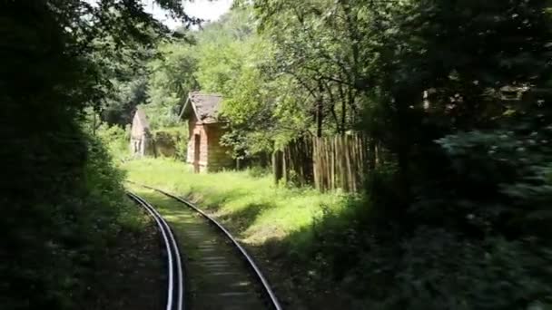 Vecchio tunnel ferroviario di montagna 3 — Video Stock