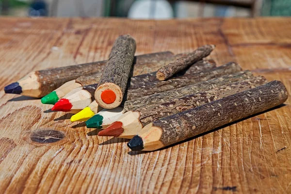 Lápis coloridos feitos à mão de ramos de árvores 8 — Fotografia de Stock