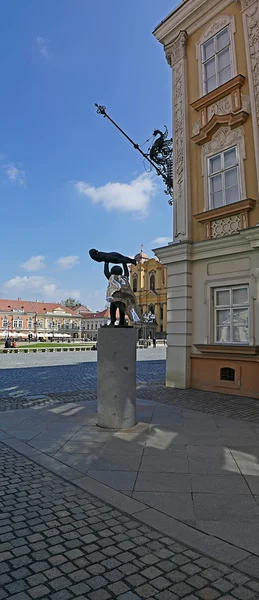 Tampilan panorama vertikal satu bagian di Union Square di Timisoara , — Stok Foto