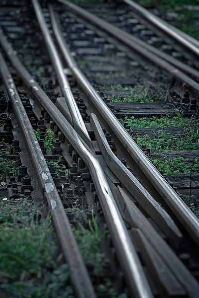 Binari ferroviari su sfondo nero con erba — Foto Stock