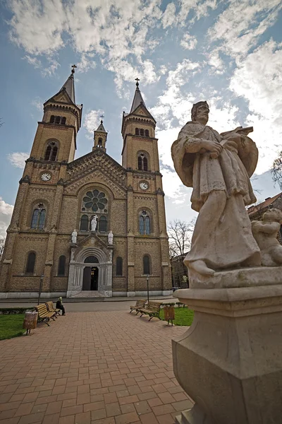 Millennium Katedrali manzarası ile St. Nepomuk heykeli — Stok fotoğraf