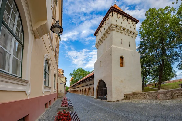 Sibiu Transylvania Romania 2020年7月8日 要塞街 セティ通り Fortress Street Cetatii Street — ストック写真