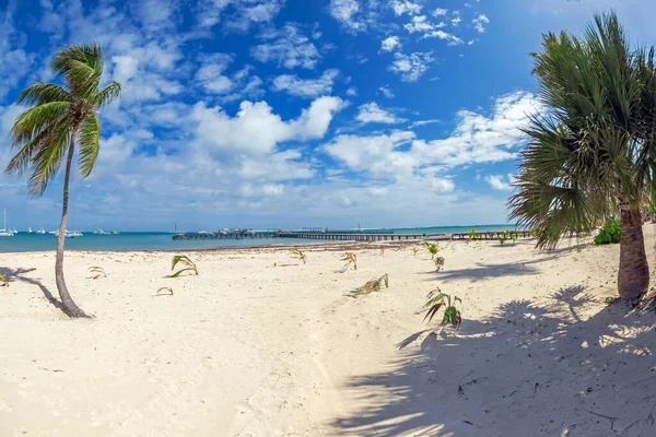 Bela Praia Selvagem Areia Bahoruco República Dominicana — Fotografia de Stock