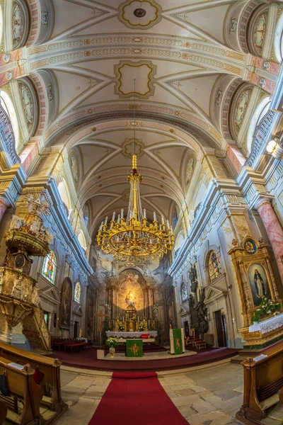 Sibiu Transylvania Romania July 2020 Interior Jesuit Church Church Holy — Stock Photo, Image