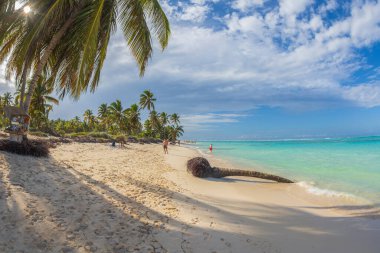 PUNTA CANA, DOMINICAN REPUBLIC - 11 Mart 2020: Punta Cana, Dominik Cumhuriyeti 'ndeki güzel vahşi ve kumsal. Balık manzarası.