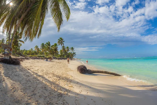 Punta Cana Republika Dominiczna Marca 2020 Piękna Dzika Piaszczysta Plaża — Zdjęcie stockowe