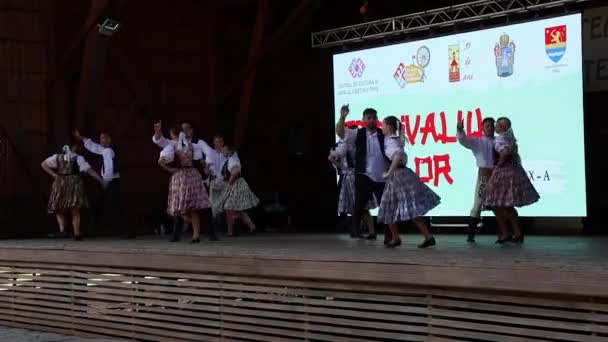 Romania Timisoara 2021年6月6日 伝統衣装を着た若いスロバキア人ダンサーが市役所主催の 民族の祭り で民族舞踊を披露 — ストック動画