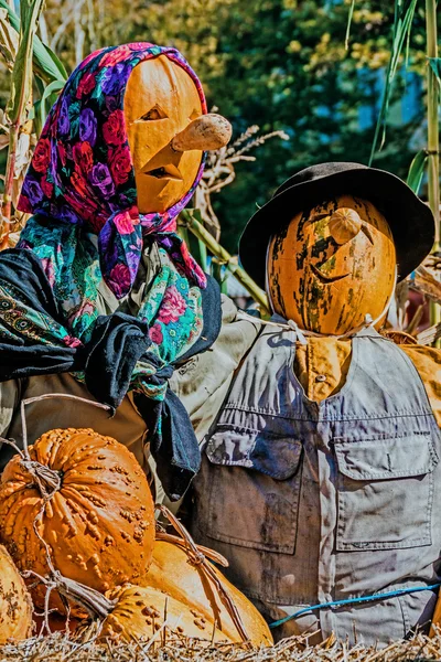 Pagliaccio de calabazas —  Fotos de Stock