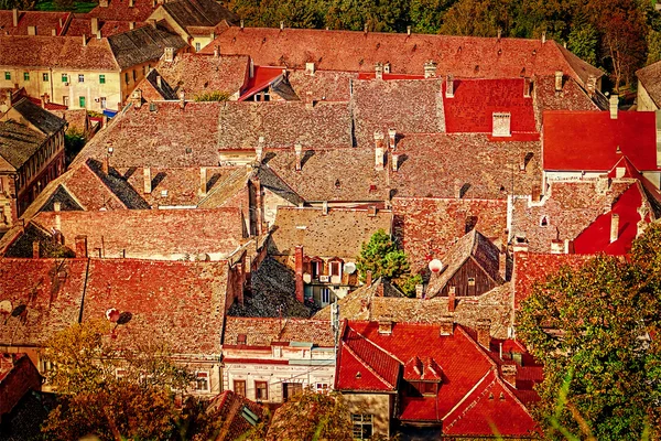 ノヴィ ・ サド、セルビア 1 の古い屋根のビュー — ストック写真