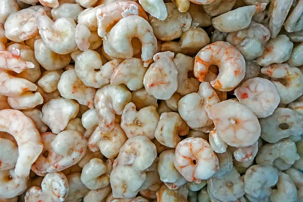 Bunch with rings of shrimps frozen — Stock Photo, Image