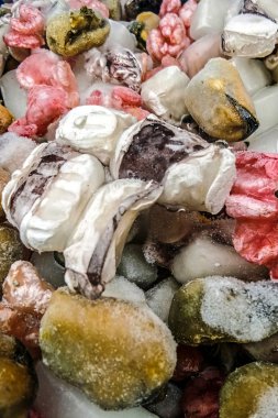 Grup ile deniz ürünleri 1 dondurulmuş