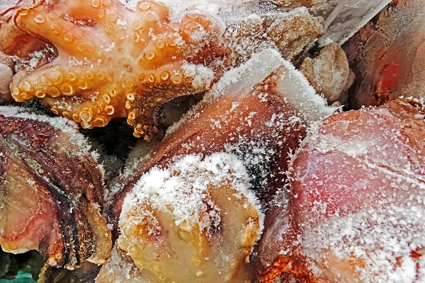 Carne de polvo congelada — Fotografia de Stock