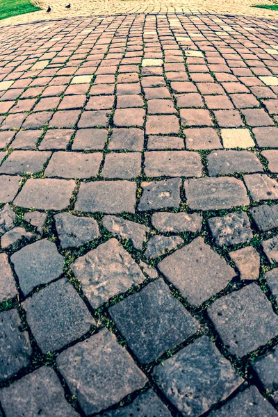 Vintage look at cobblestone trowalk 9 — стоковое фото