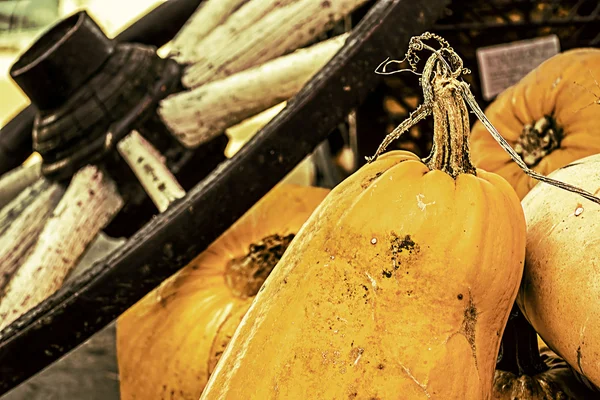 Vintage look at pumpkins and cartwheel — Stock Photo, Image