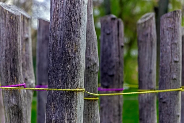 Close up detail arrangement with pillars and stretched wire — Stock Photo, Image