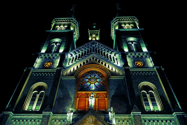 Katedral Millenium çeşitli gece aydınlatma Timisoara üzerinden — Stok fotoğraf