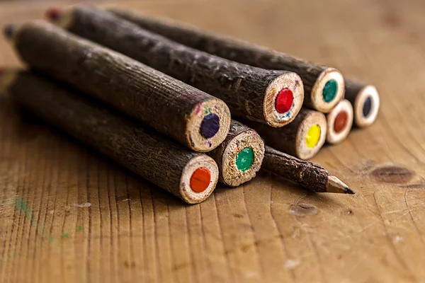 Crayons de couleur faits à la main à partir de branches d'arbres 1 — Photo