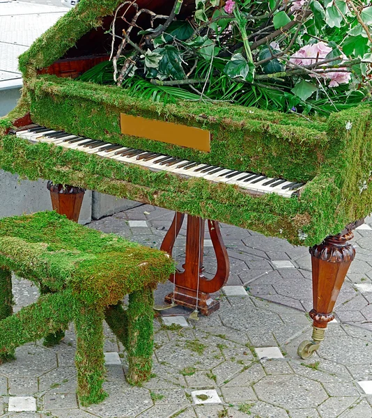 Klavier mit Blumen und Moosgras verziert — Stockfoto